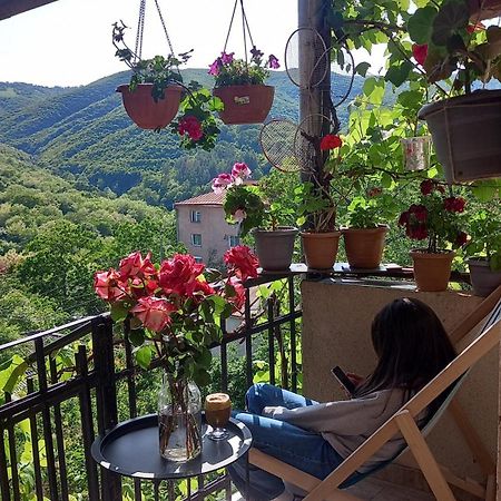 Cherqe Guest House Sighnaghi Exterior photo