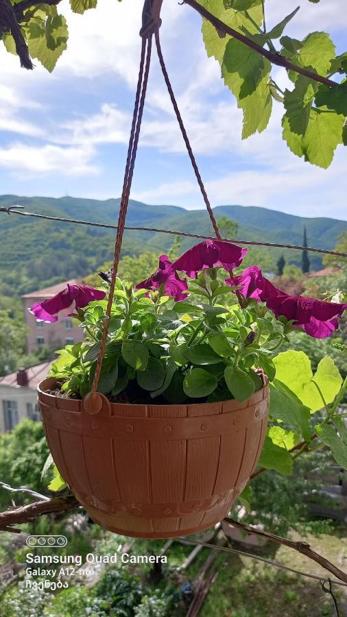 Cherqe Guest House Sighnaghi Exterior photo