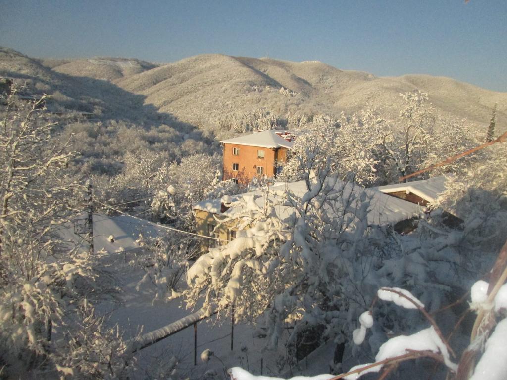 Cherqe Guest House Sighnaghi Exterior photo